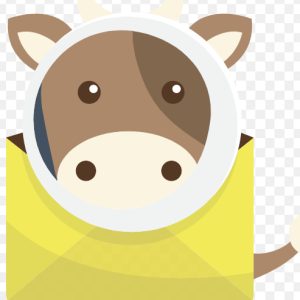 Professional Mailcow Mail Server Installation Service